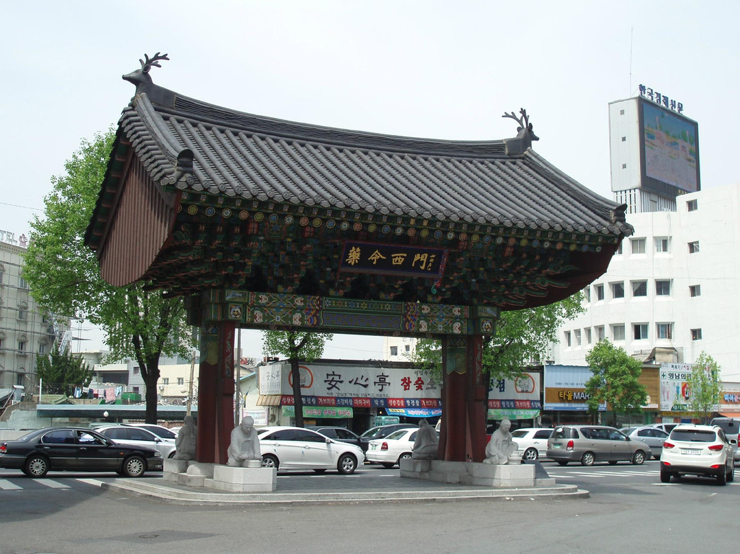 Daegu Oriental Medicine Market-大邱必去景点