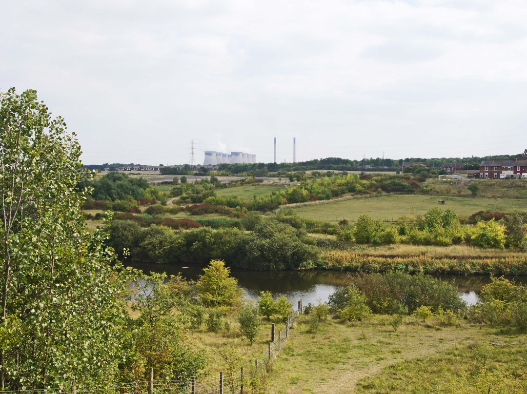 RSPB Fairburn Ings nature reserve景点图片