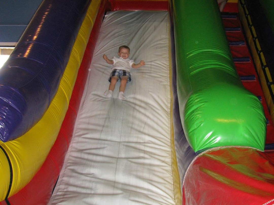 Bouncin' Bears-斯普林必去景点