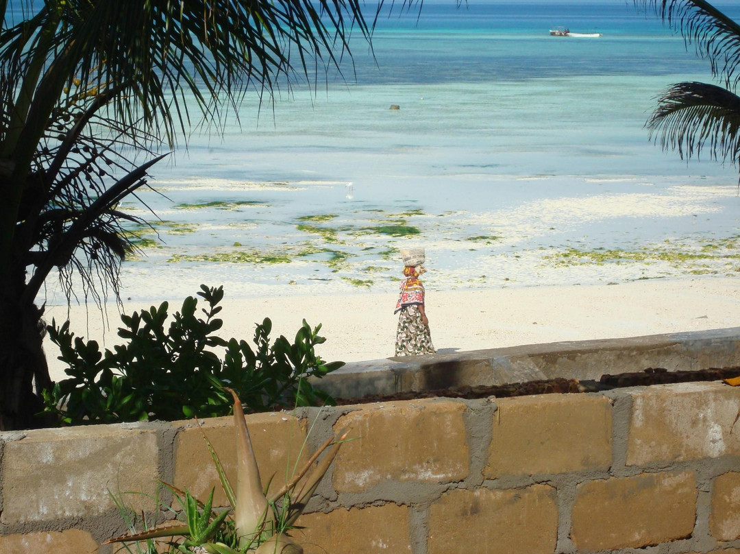 Swahili Beach Resort主图