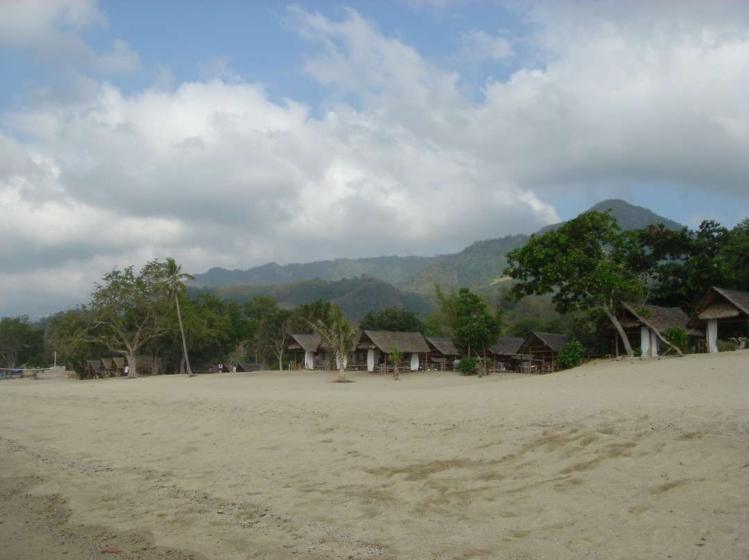 Playa Laiya景点图片