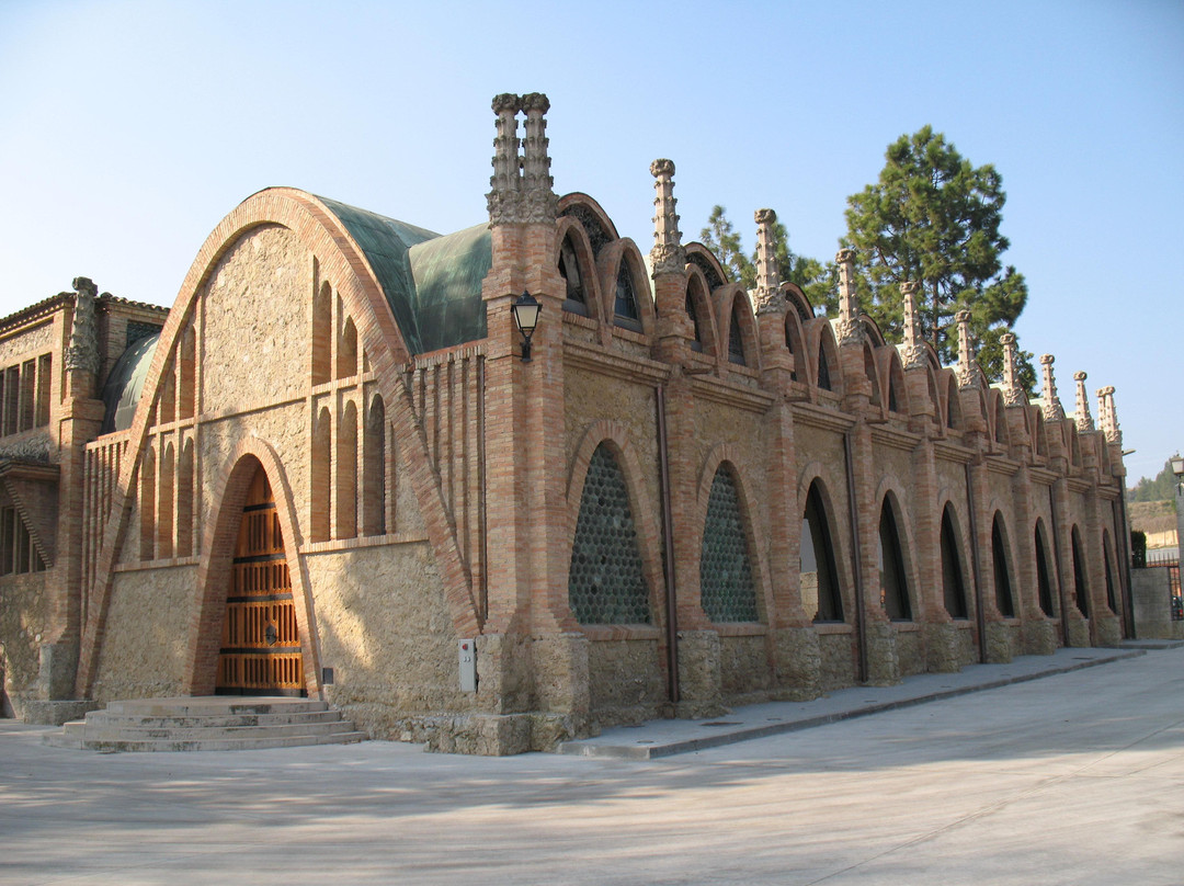 Caves Anna d’ Codorniu景点图片