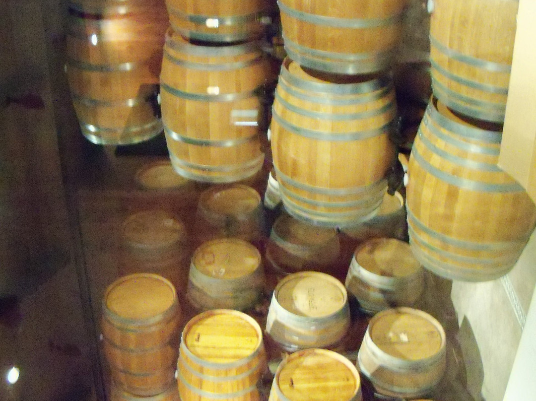 Paradise Springs Winery景点图片