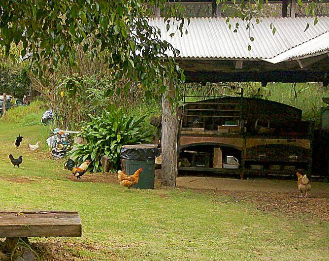 O'o Farm-库拉必去景点