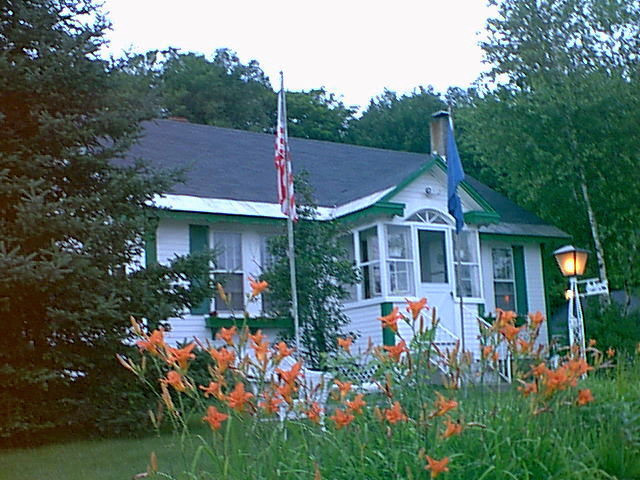 Shamrock Grove