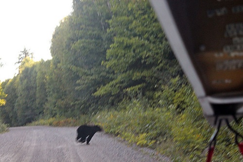 Killarney Provincial Park-Killarney必去景点
