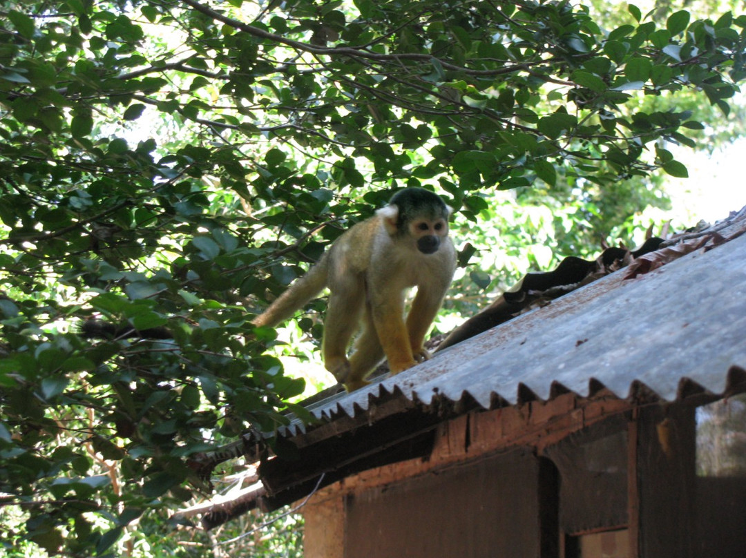 Fluvial Tours-Rurrenabaque必去景点
