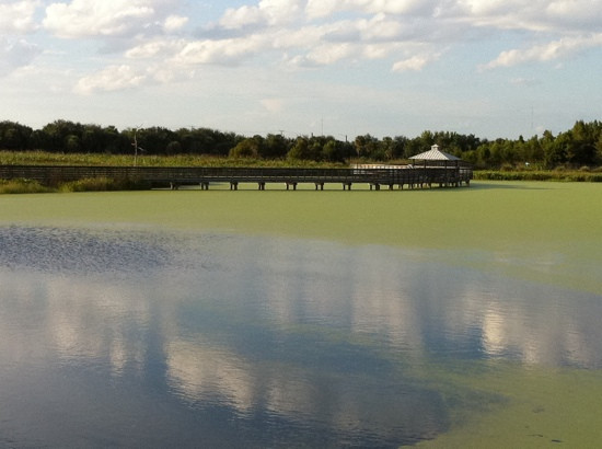 Green Cay Nature Center and Wetlands-博因顿海滩必去景点