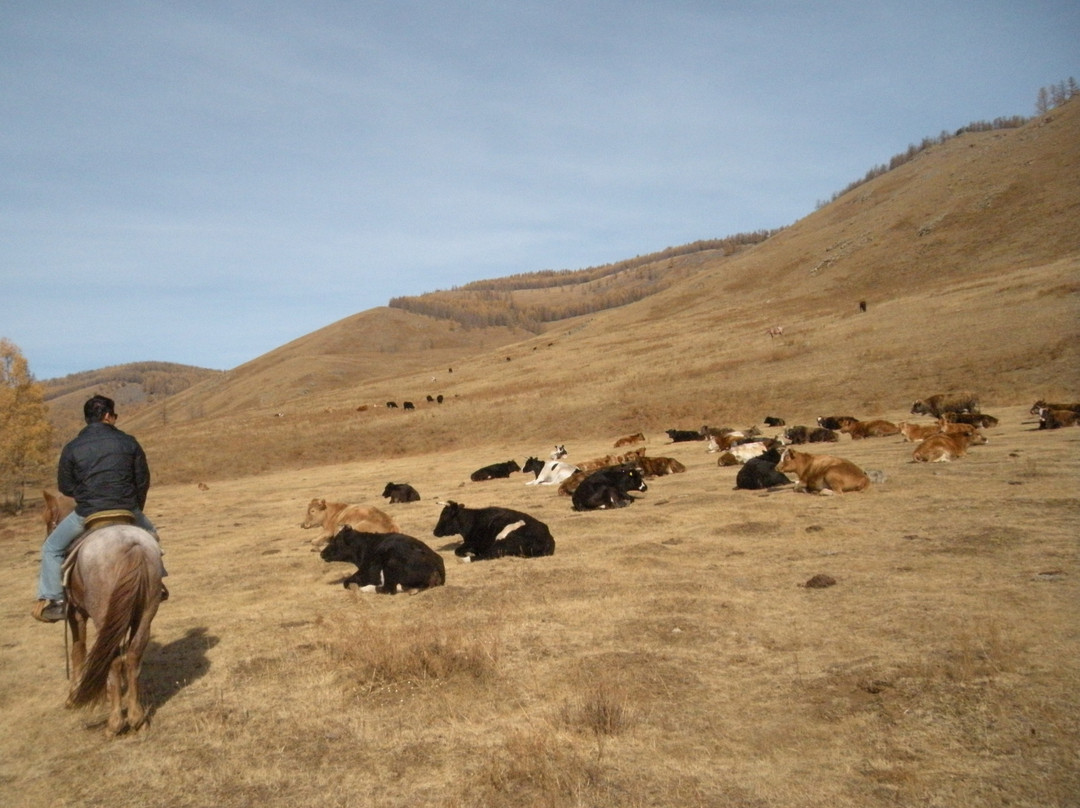 Stone Horse Expeditions & Travel - Day Tours-乌兰巴托必去景点