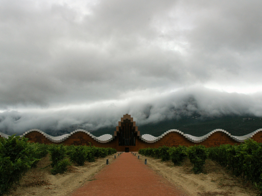 Bodegas Ysios景点图片