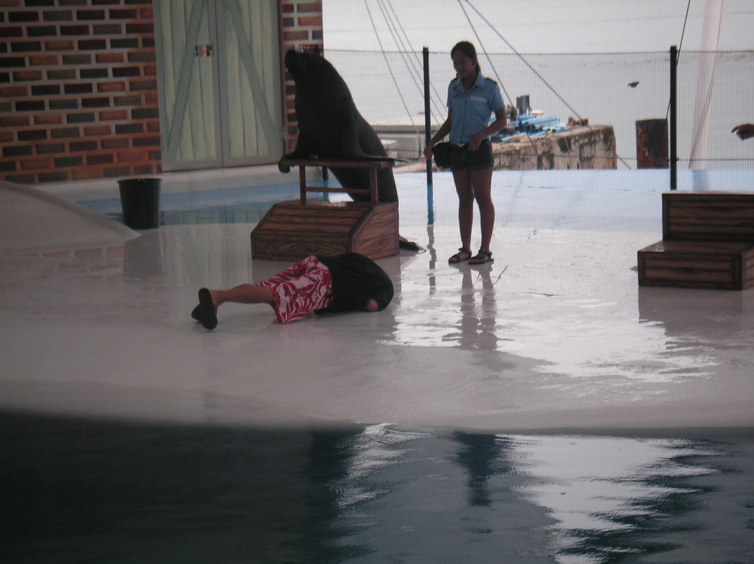 Ocean Adventure-苏比克湾自由贸易区必去景点