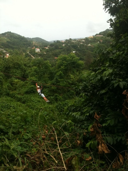 Rainforest Zipline Park景点图片