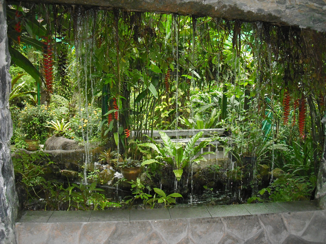 蝴蝶公园-吉隆坡必去景点