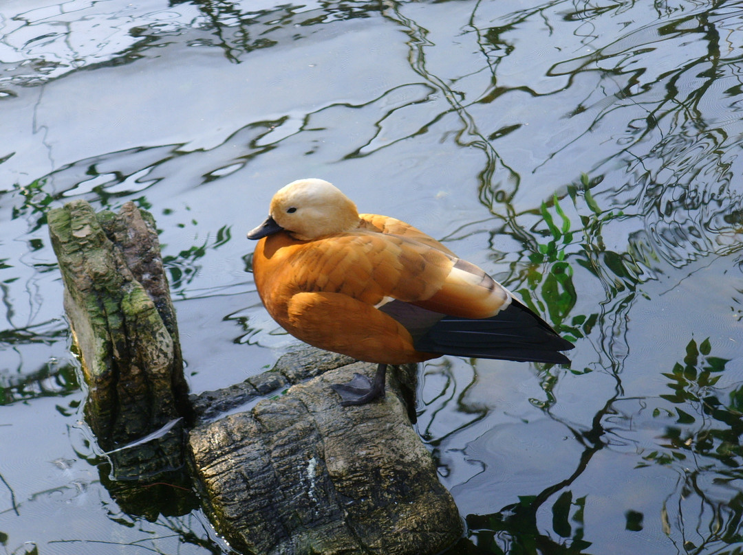 西霞口动物园-荣成市必去景点
