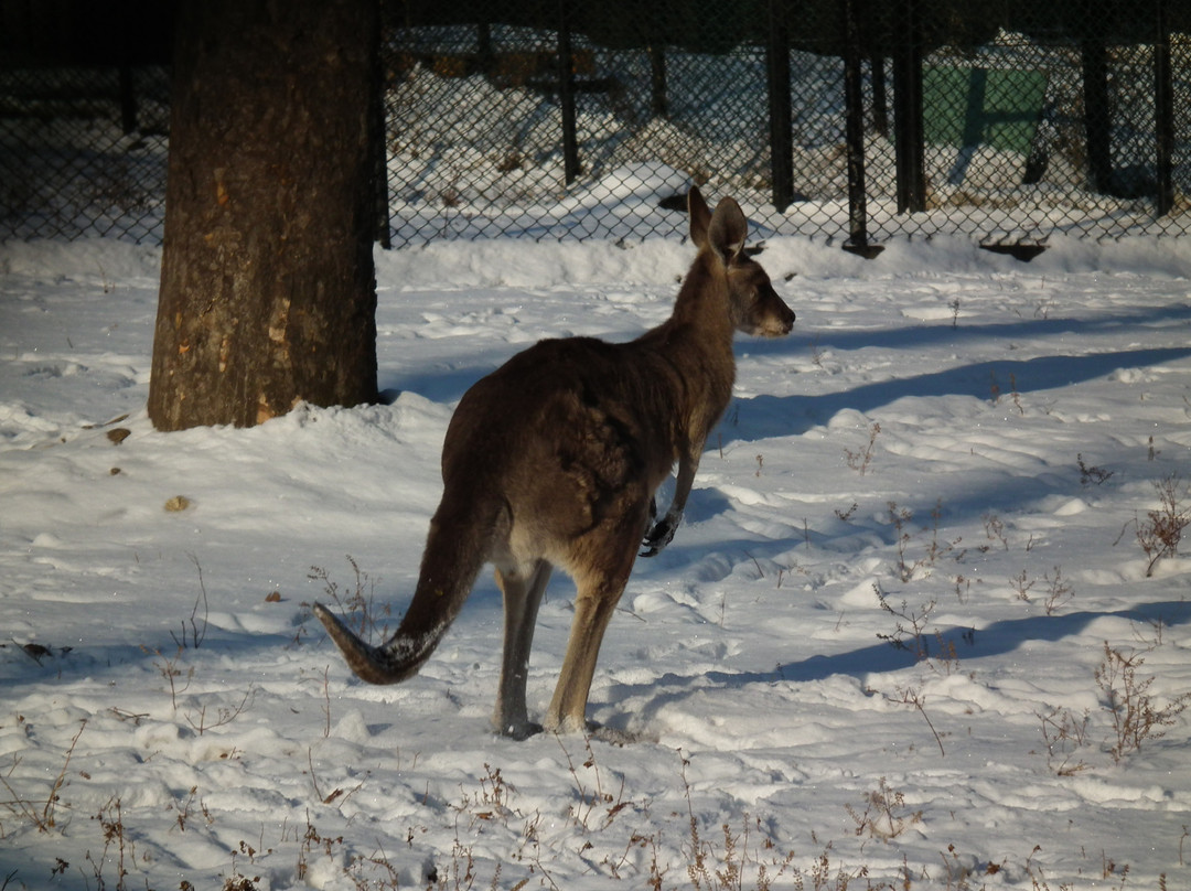 Seoul Grand Park-果川市必去景点