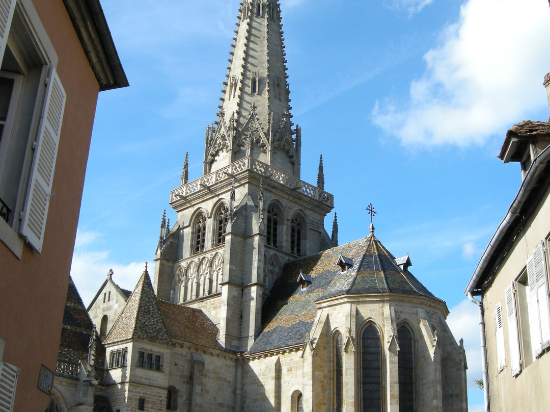 Cathédrale St-Lazare景点图片