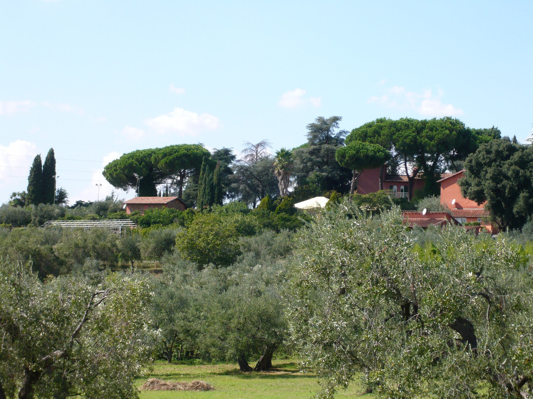 Agriturismo La Selvotta主图