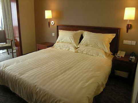 格林豪泰上海松江新城商务酒店-客卧