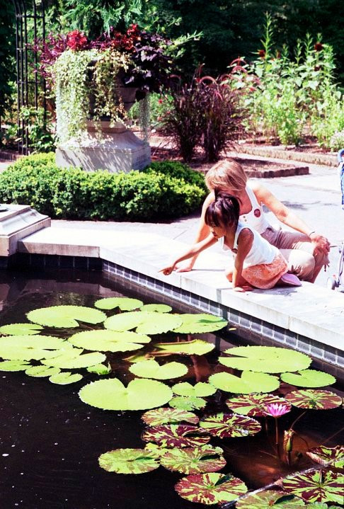 Dixon Gallery & Gardens-孟菲斯必去景点