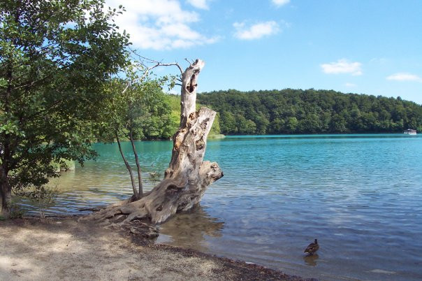 Gradinsko Lake景点图片