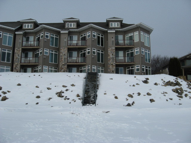 Willows on the River主图