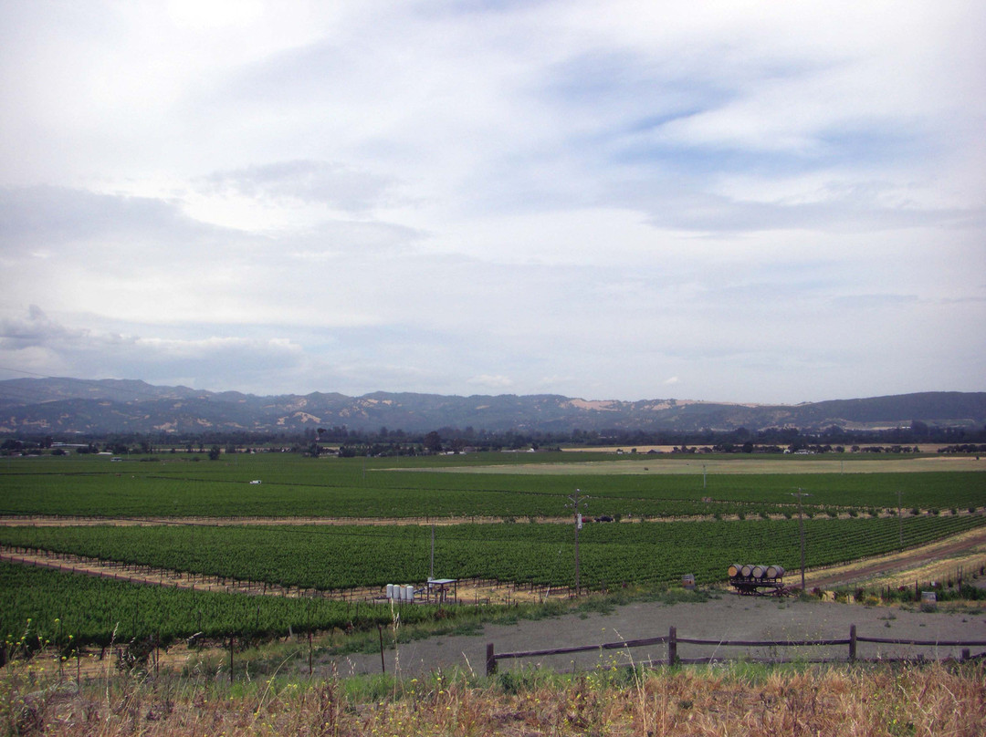 Schug Winery-索诺玛必去景点