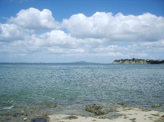 朗伊托托岛-奥克兰中心地区必去景点