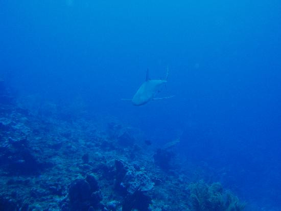 Ocean Frontiers-East End必去景点