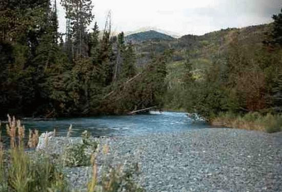 Russian River-基奈必去景点