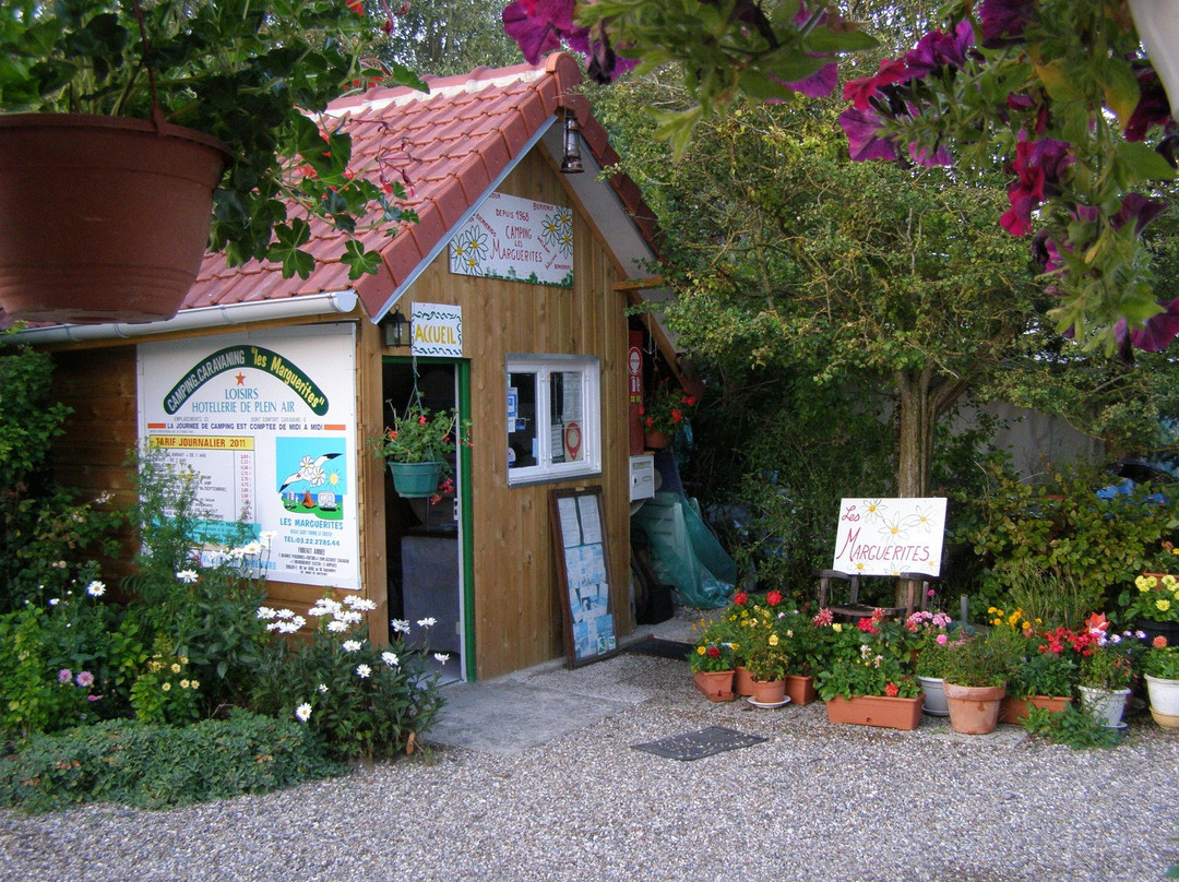 Les Marguerites