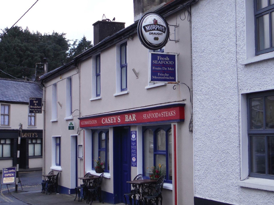 Caseys Pub Unionhall