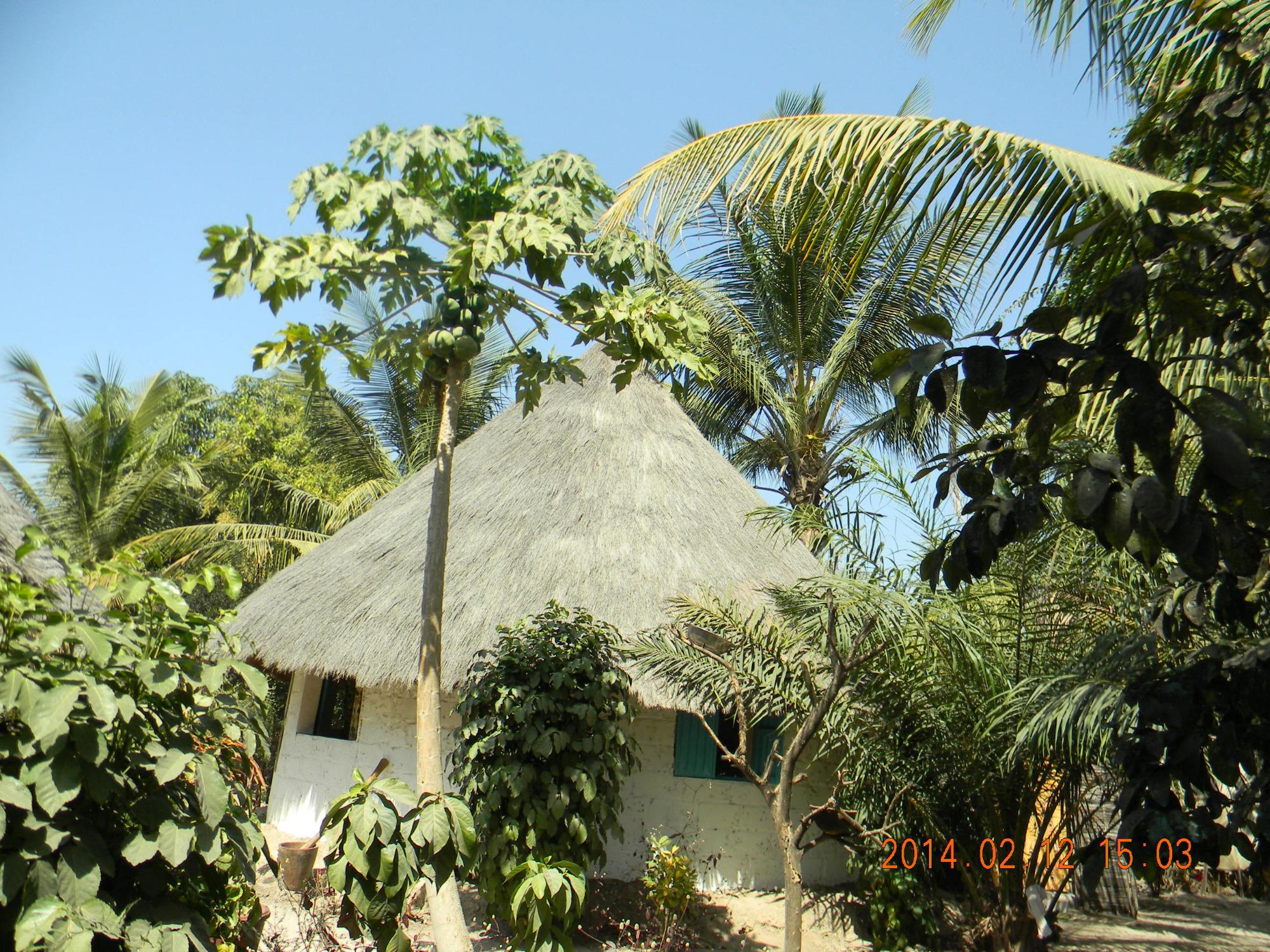 Chez Thierno Ba-官方