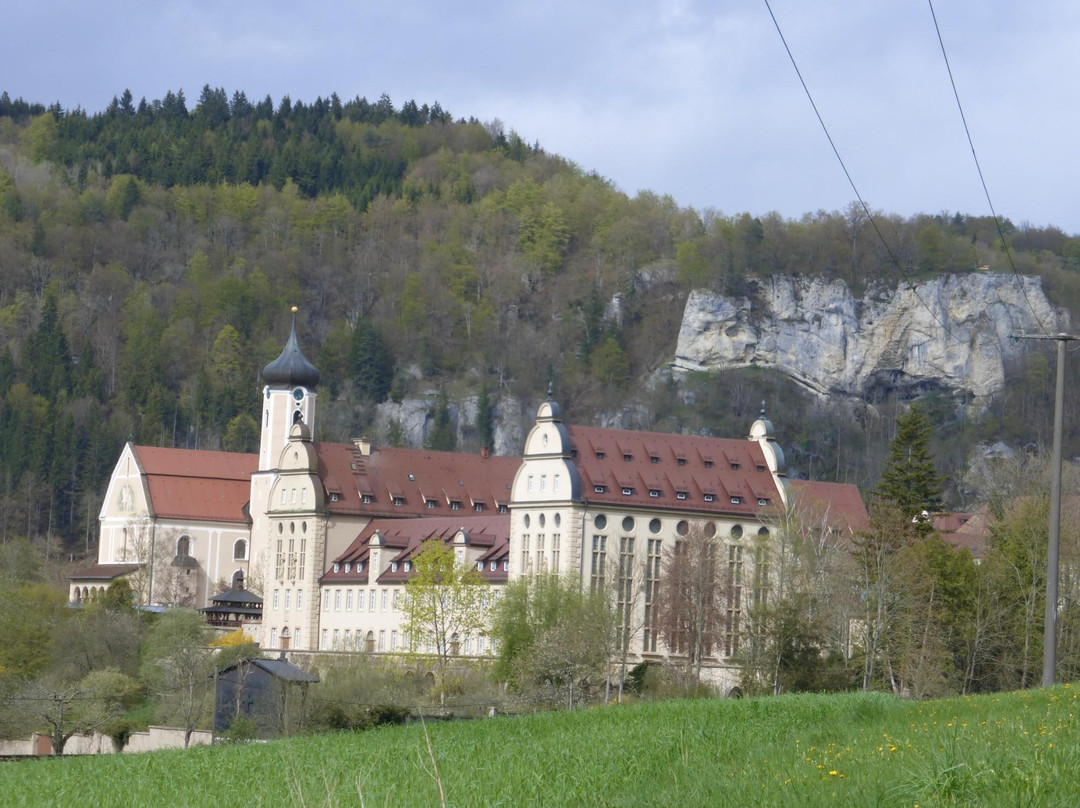 Schwenningen酒店住宿-Hotel & Restaurant Pelikan