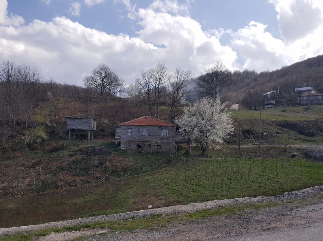 Ogzala Ciftligi