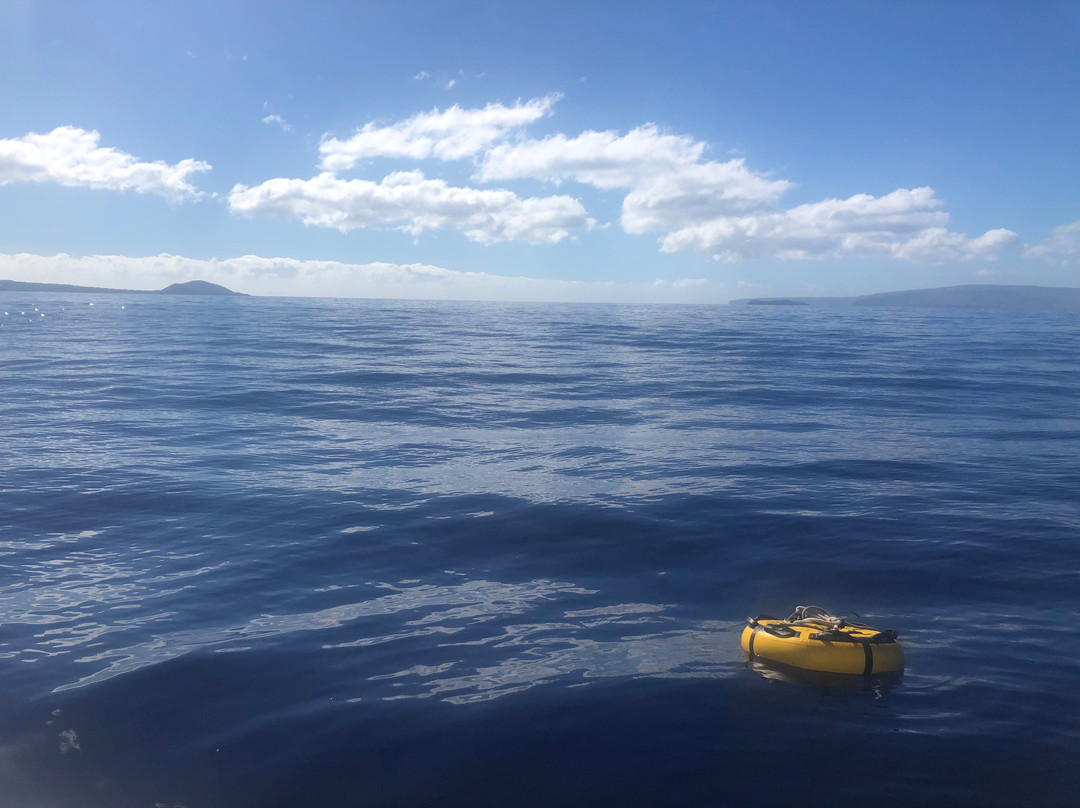 Freedive Hawaii景点图片