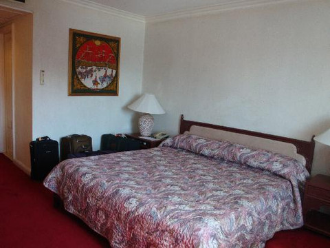 阿波火山风景酒店