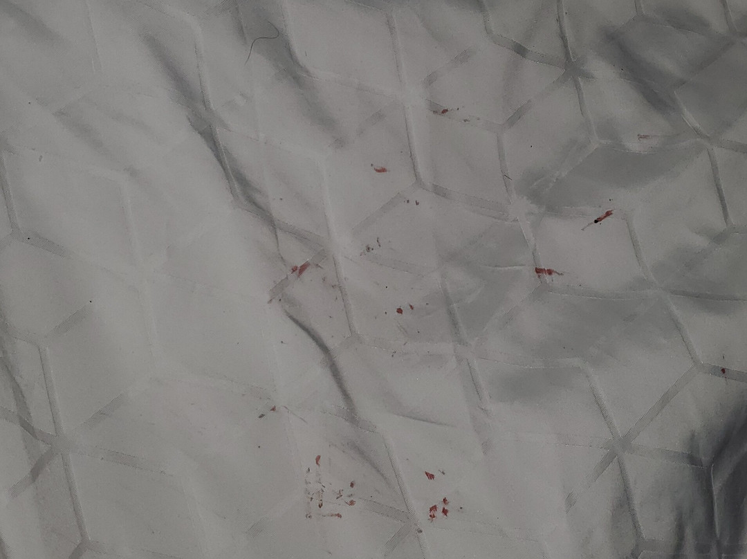 阿卡迪亚快捷假日&套房酒店主图