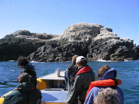 Venture Jet-St. Davids必去景点