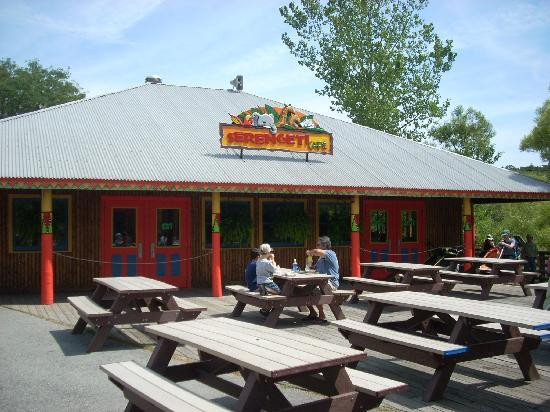 罗杰威廉斯公园动物园-普罗维登斯必去景点