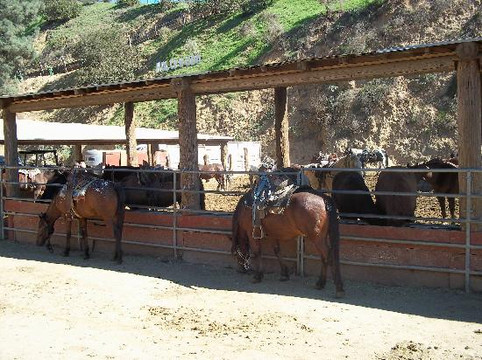 好莱坞日落牧场-洛杉矶必去景点