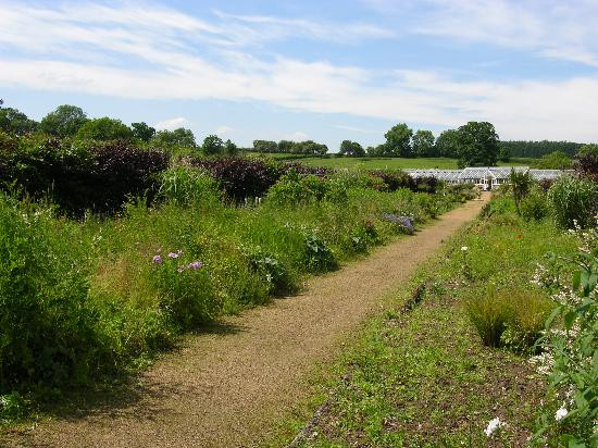 Helmsley Walled Garden景点图片