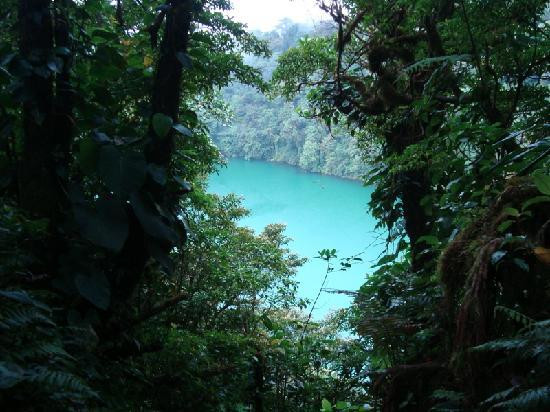 Cerro Chato (Chato Volcano)景点图片