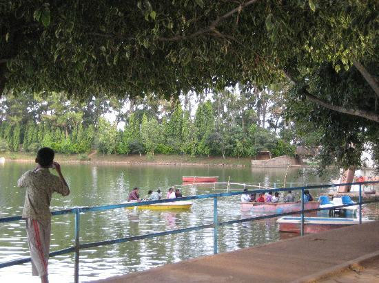 Yelagiri Hills景点图片
