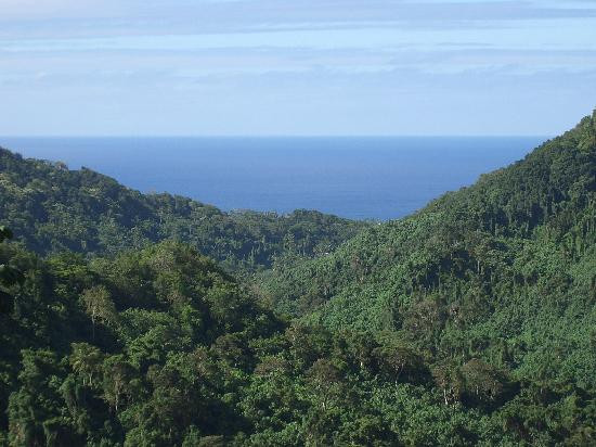 Raro Mountain Safari Tour-拉罗汤加必去景点