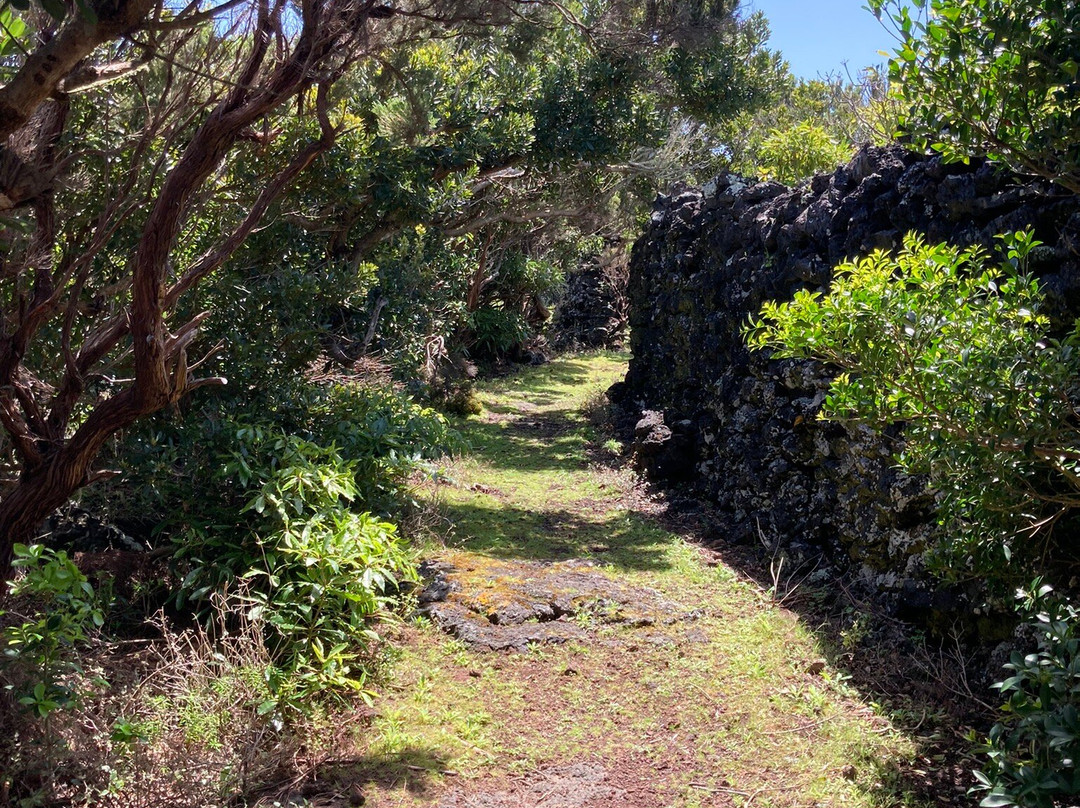 Ponta da Ilha Trail景点图片