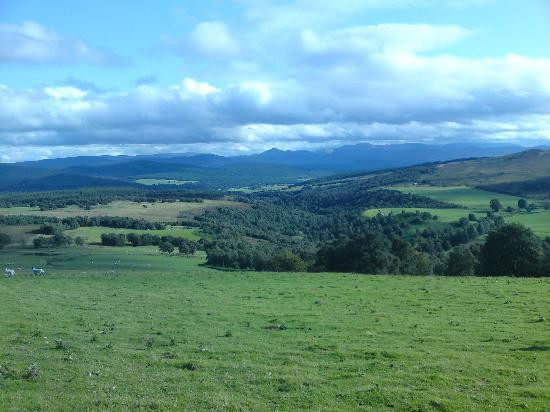Cairngorms Activities景点图片