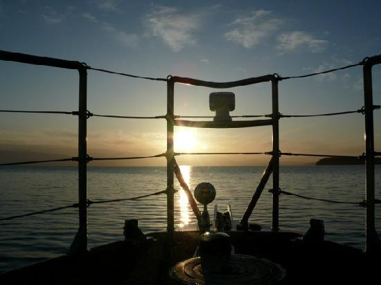 Discovery Marine Safaris Ltd.-坎贝尔里弗必去景点