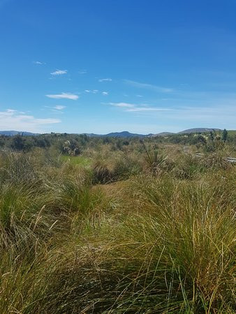 Sinclair Wetlands景点图片
