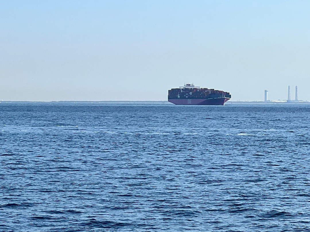 Tokyowan Ferry景点图片