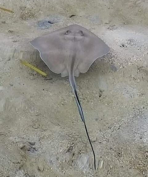 Ilet Caret-Sainte Rose必去景点